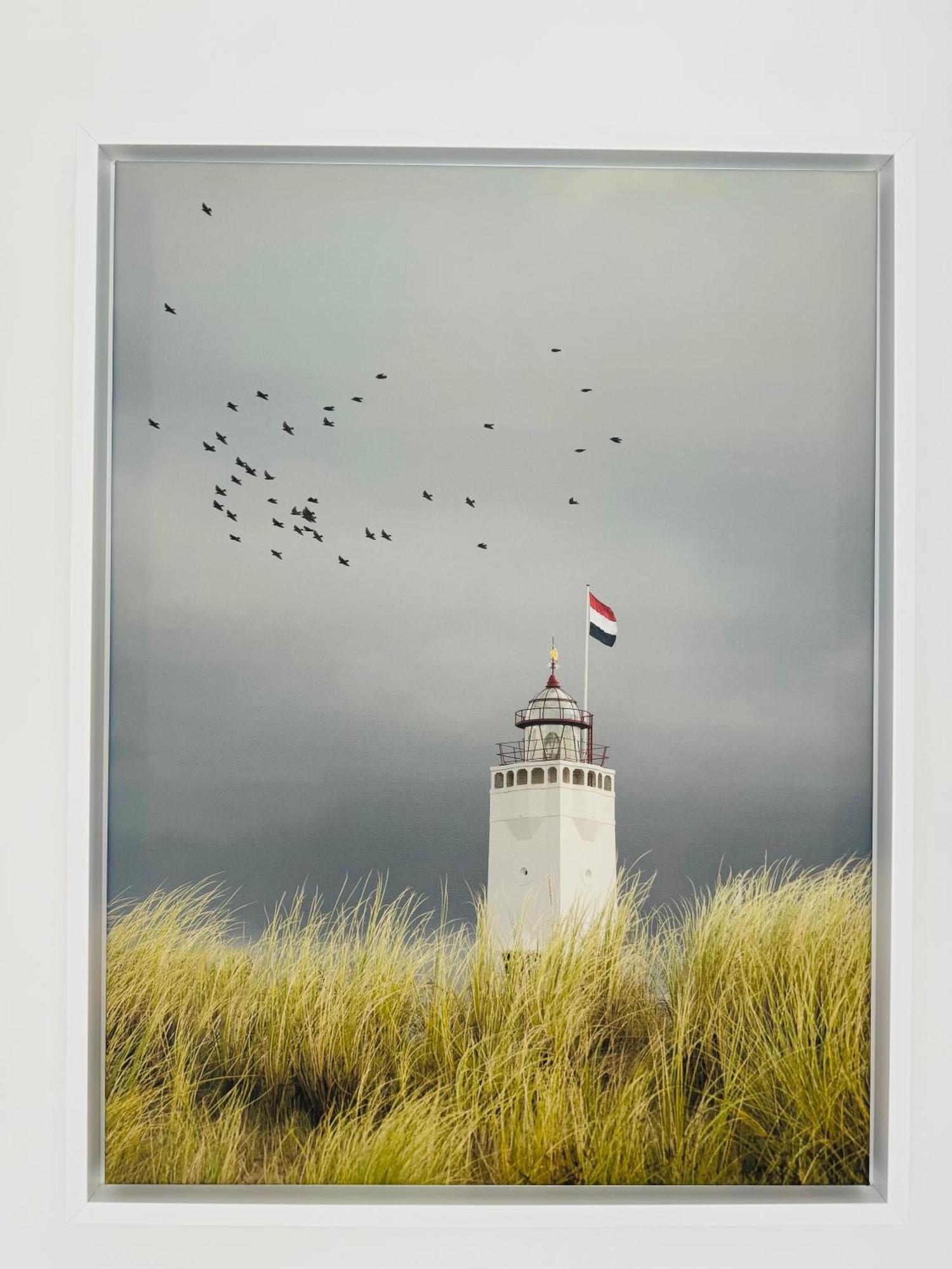 Familie Vakantiehuis - Zonneweelde Noordwijk Exteriér fotografie